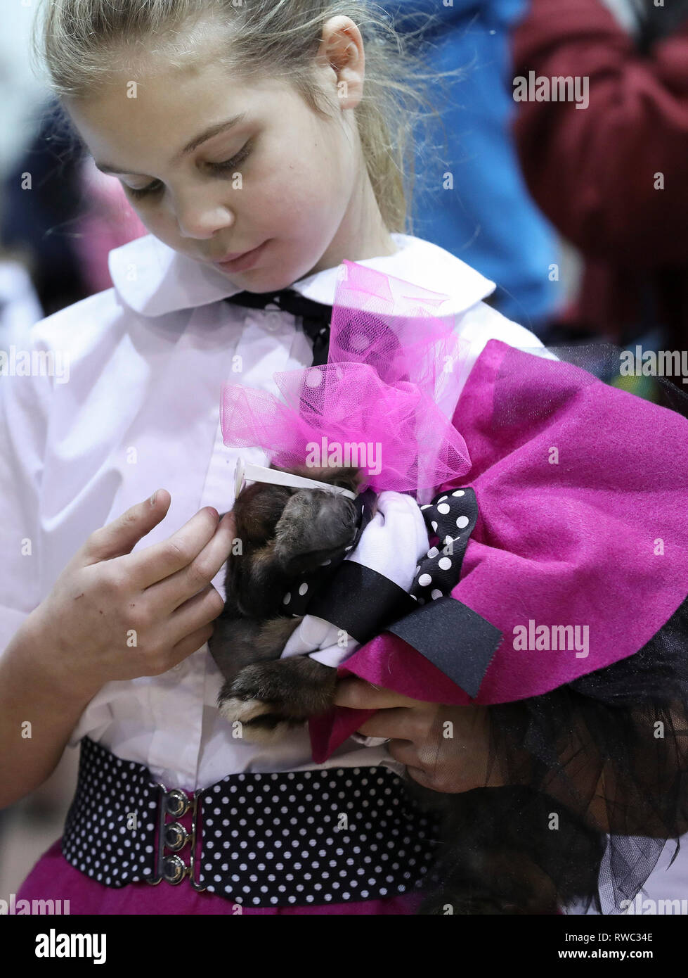 Rabbit costume contest hi-res stock photography and images - Alamy