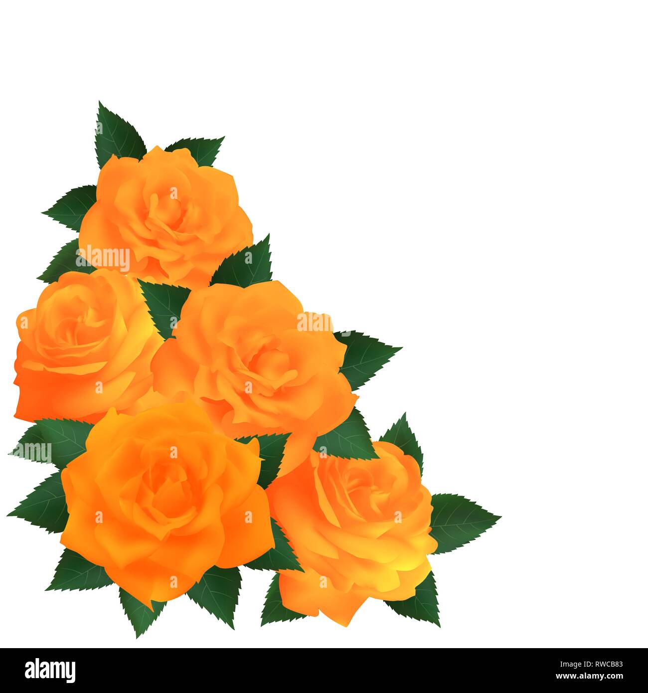 Bouquet of bright orange roses. Flowers on white background. Stock Vector