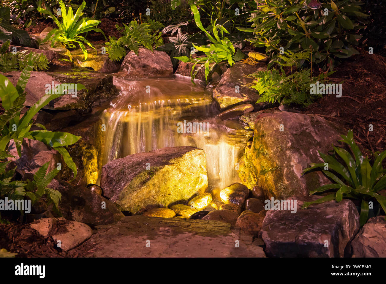 Natural landscape design featuring waterfalls, plants and dramatic lighting. Stock Photo