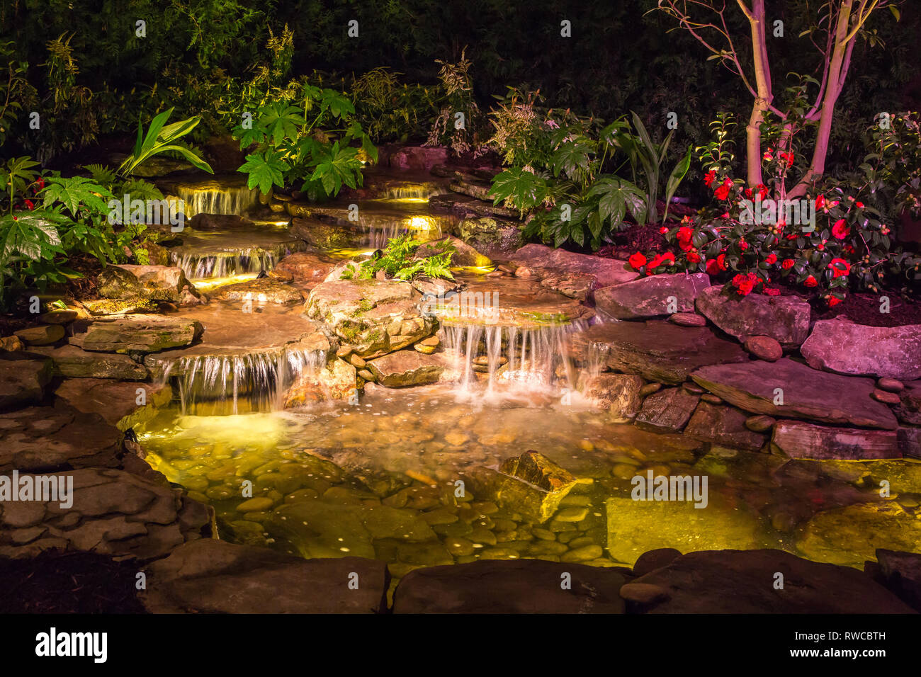Landscape design featuring waterfalls, plants and dramatic lighting. Stock Photo