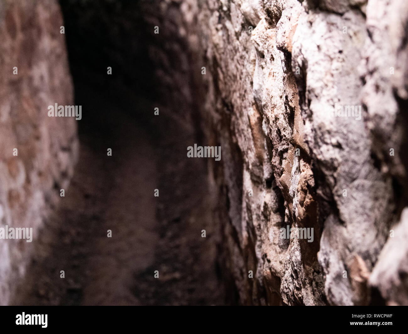 Tunnels under Exeter, UK Stock Photo Alamy