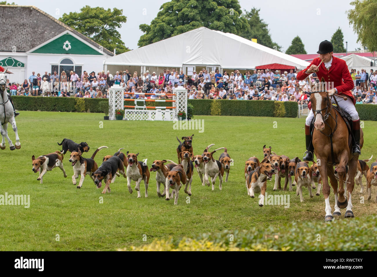 Harrogate, North Yorkshire, UK - July 12th, 2018: Hunt leaders led dozens of hounds into the main ring at the Great Yorkshire Show on 12th July 2018 a Stock Photo