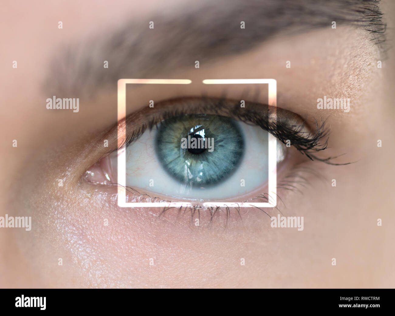 Blue Iris Eye Stock Photos & Blue Iris Eye Stock Images Alamy