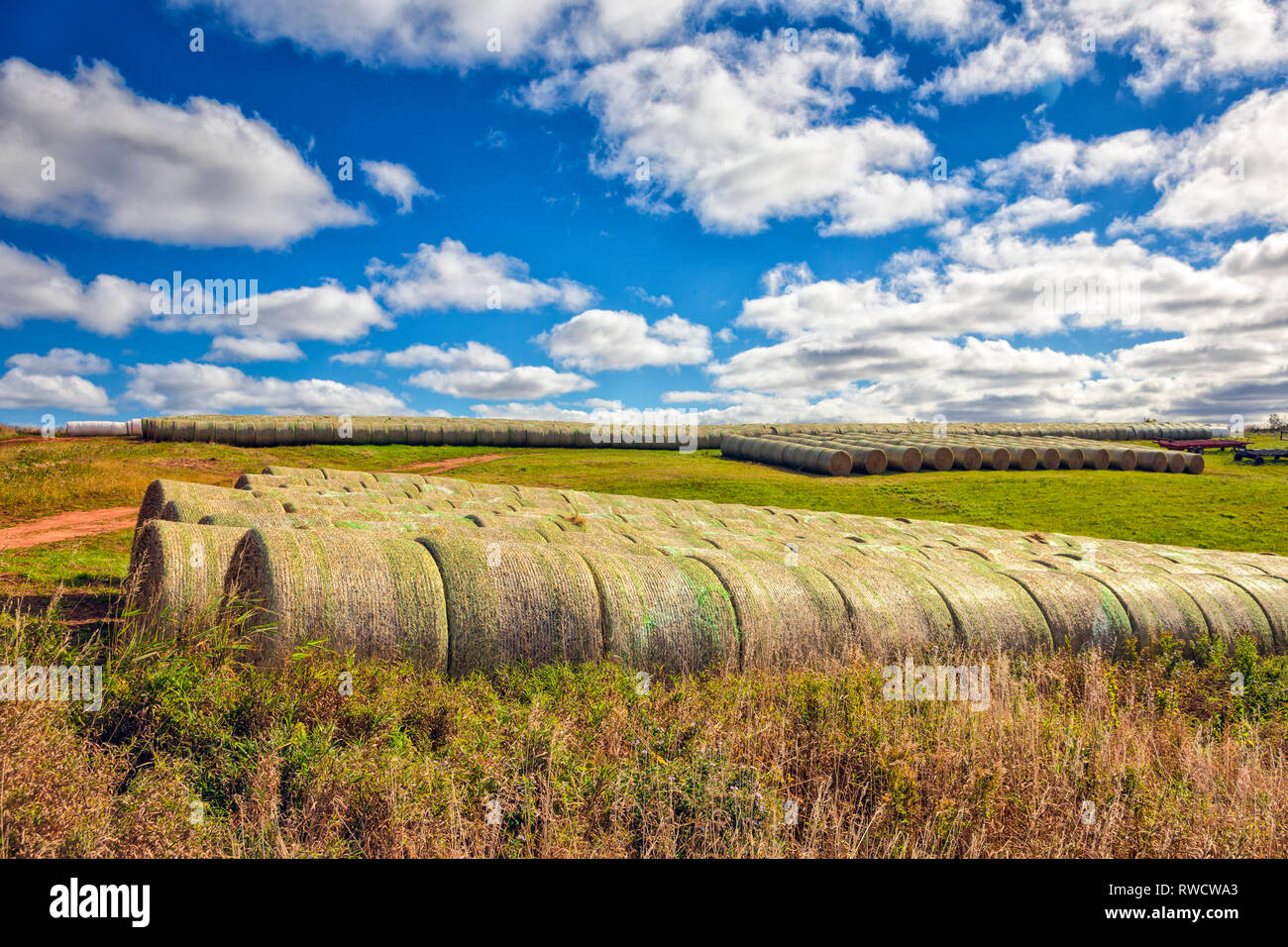 Baled hay, Long River, Prince Edward Island, Canada Stock Photo