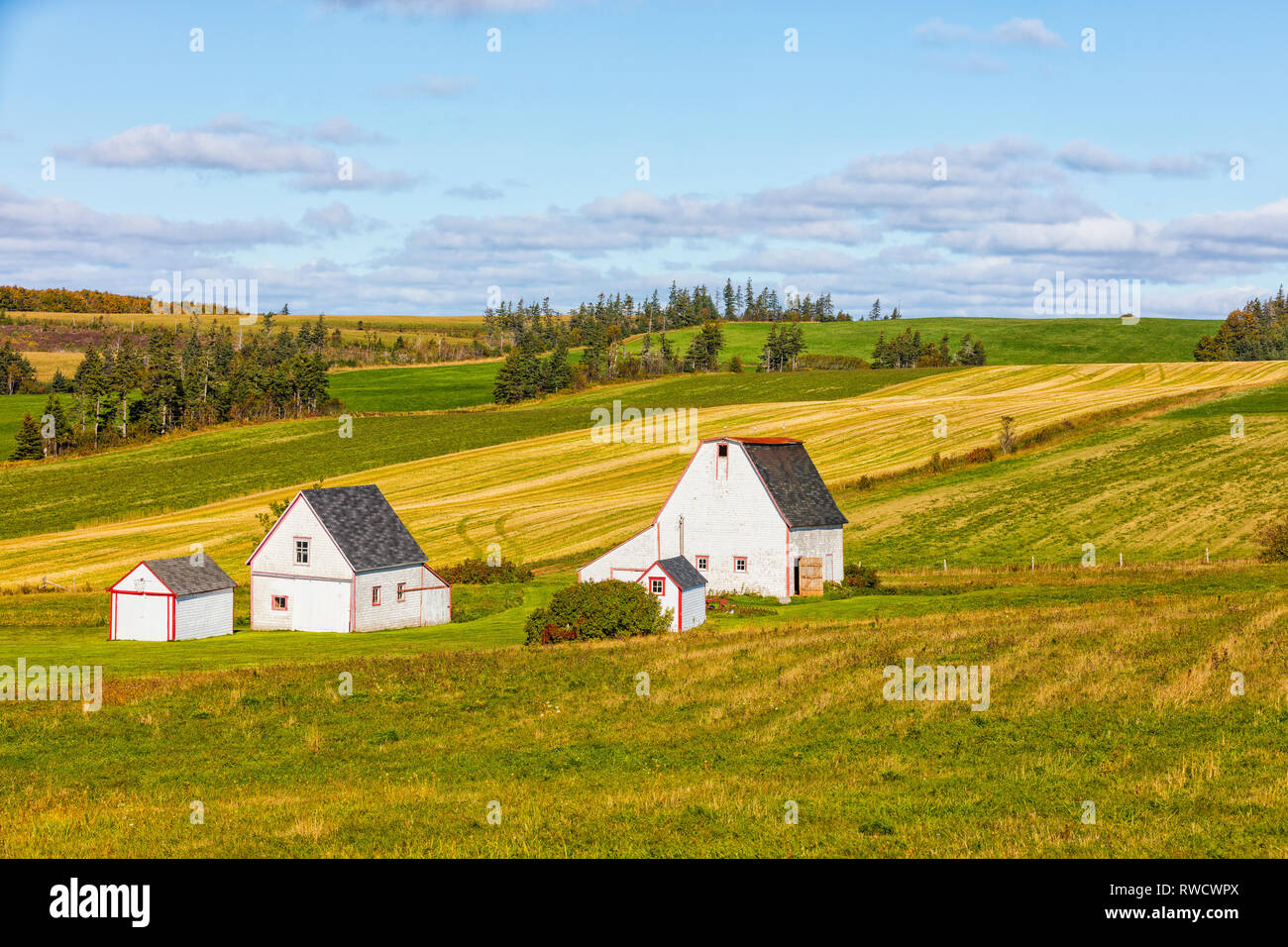 Barns, Irishtown, Prince Edward Island, Canada Stock Photo