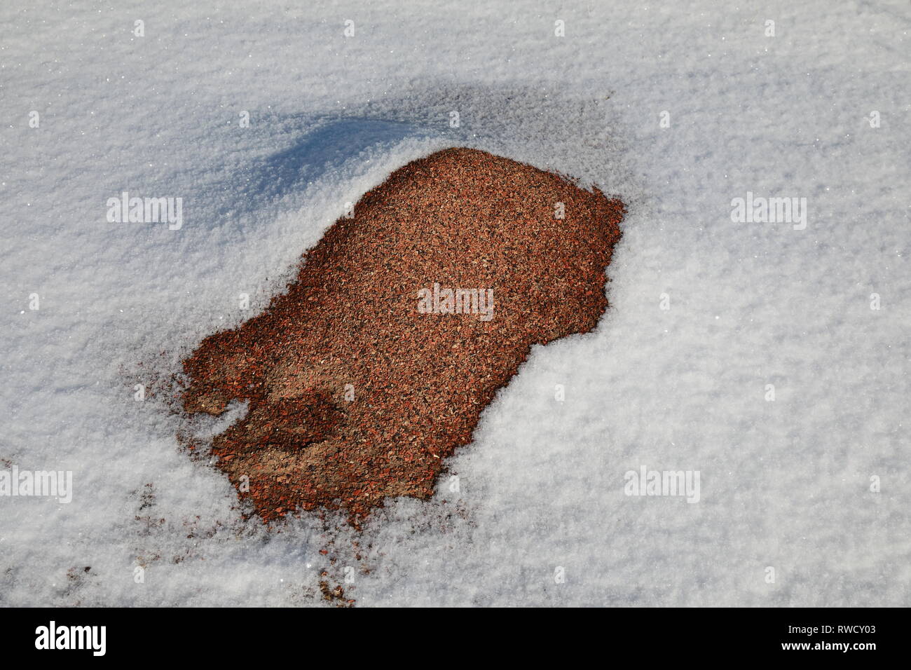 Bisti Badlands Wilderness Area in winter with snow, New Mexico, USA