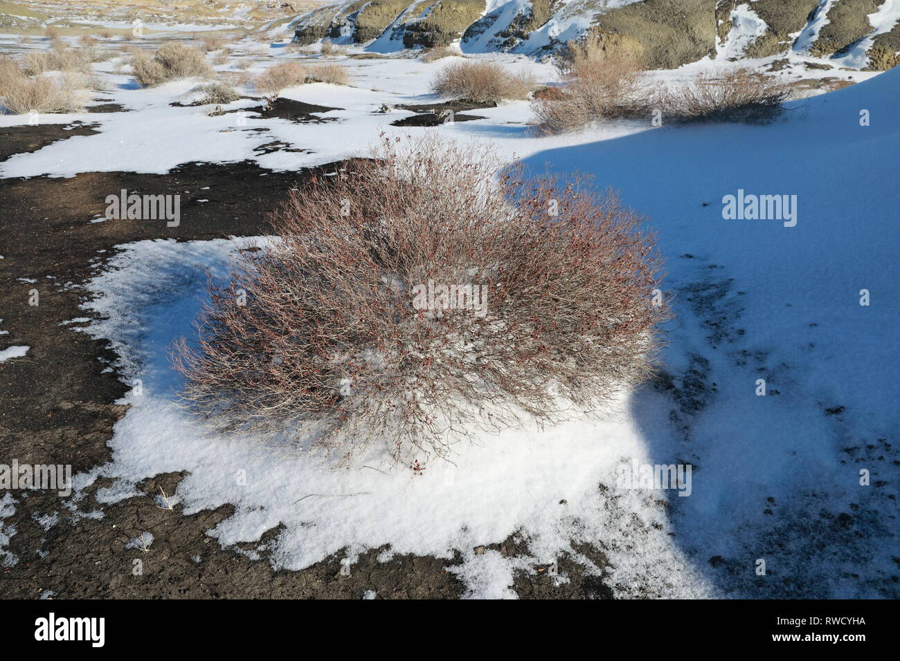 Bisti Badlands Wilderness Area in winter with snow, New Mexico, USA