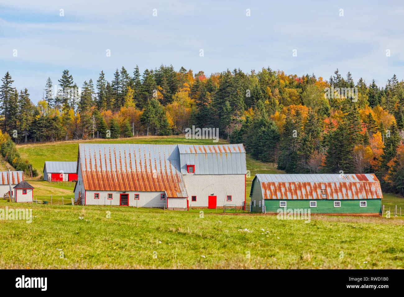 Barns, North Wiltshire, Prince Edward Island, Canada Stock Photo