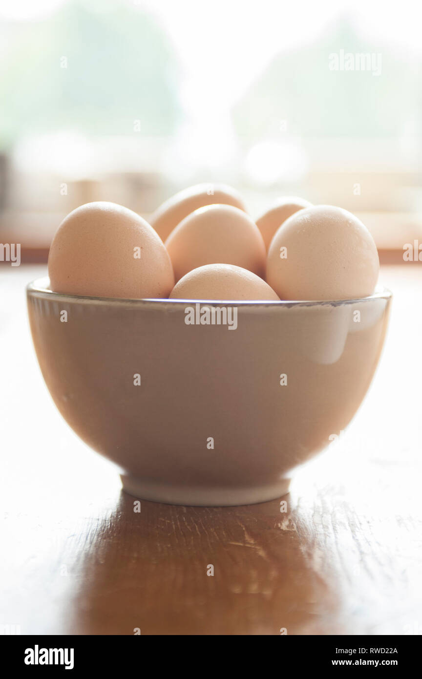 Braune Eier von freilaufenden Huehnern in einer braunen Schale stehen auf einem Holztisch im Gegenlicht.  [(c) Dirk A. Friedrich Stock Photo