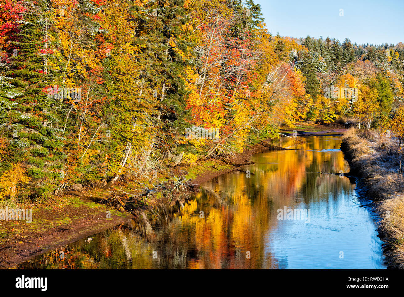 Fall foliage, Bonshaw River, Prince Edward Island, Canada Stock Photo