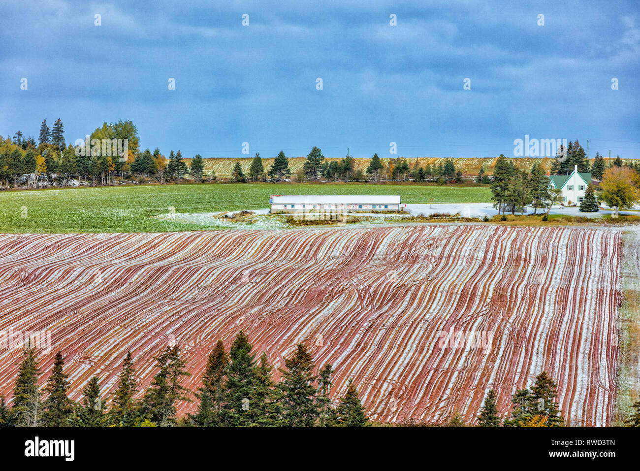 Farm, Found Mills, Prince Edward Island, Canada Stock Photo