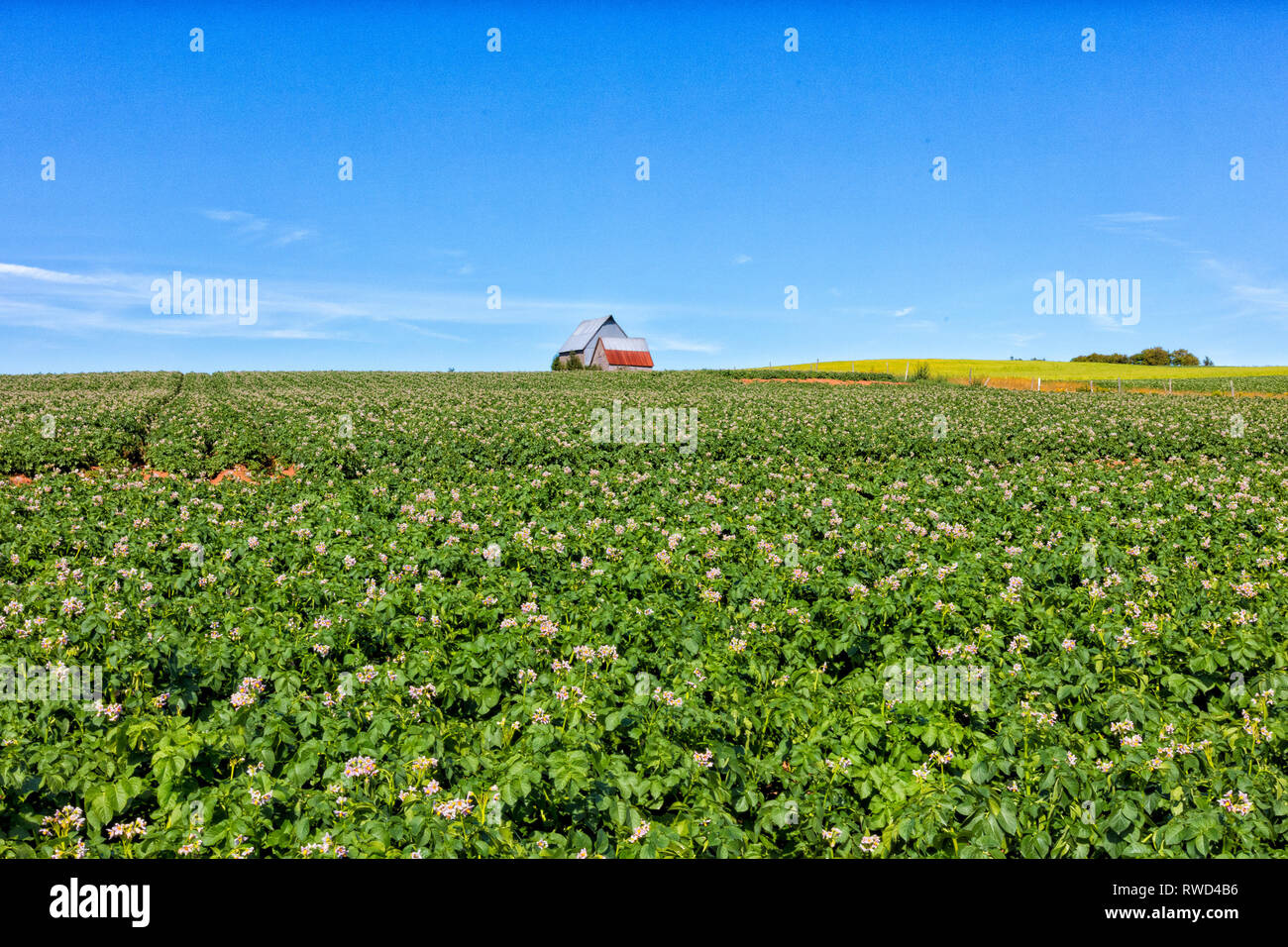 Fredericton, Prince Edward Island, Canada Stock Photo