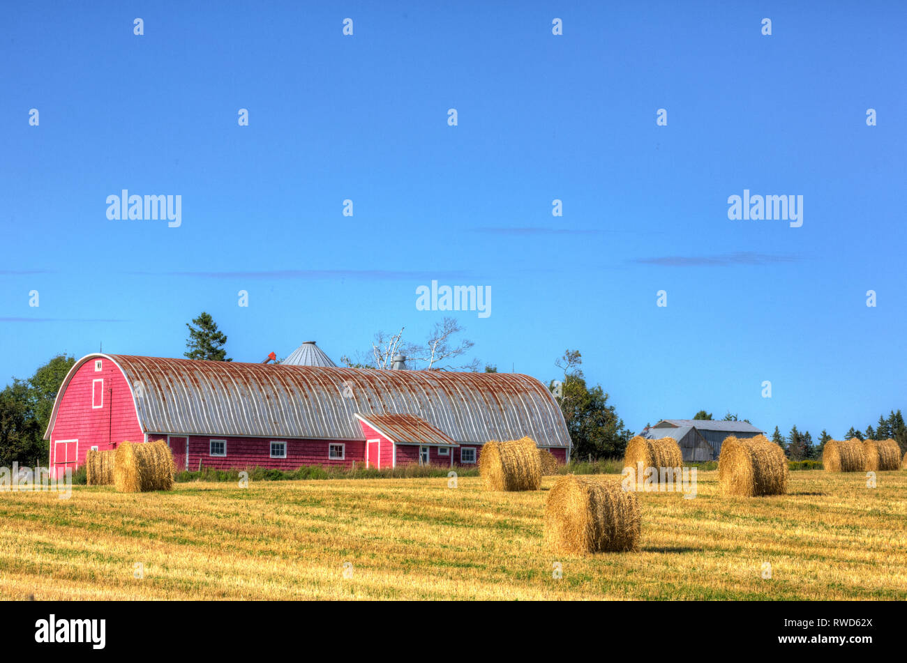Baled hay and barn, North Carelton, Prince Edward Island, Canada Stock Photo
