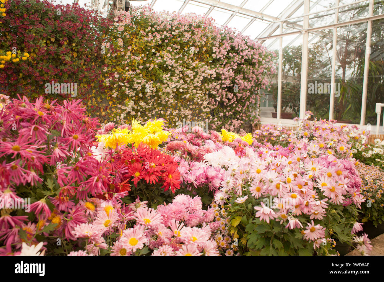 Indoor cascade hires stock photography and images Alamy