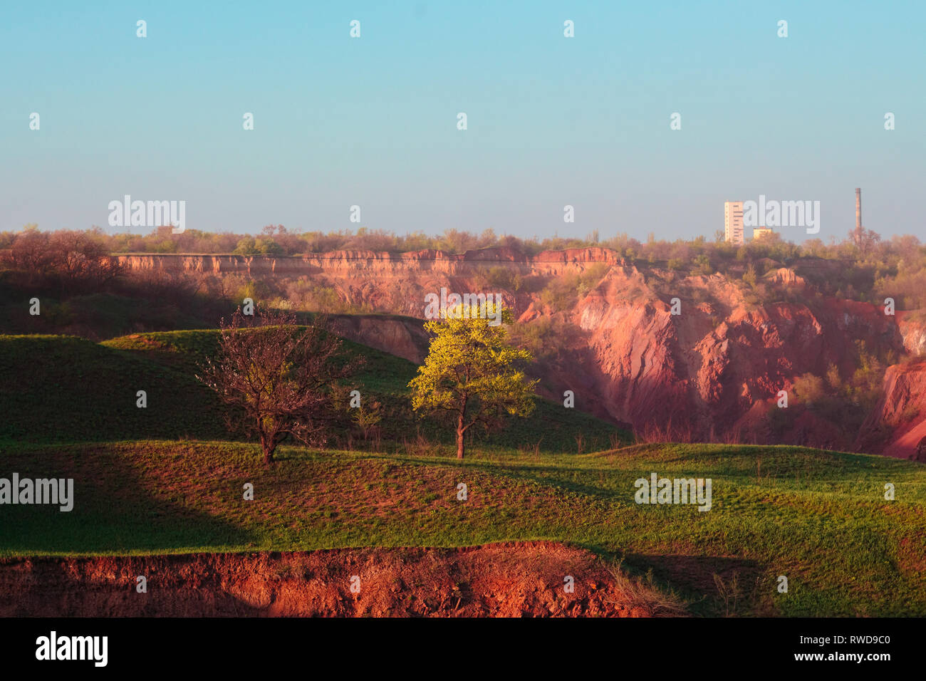 A lonely tree on the hills at the evening light. Ground collapse spring landscape, Kriviy Rih, Ukraine Stock Photo