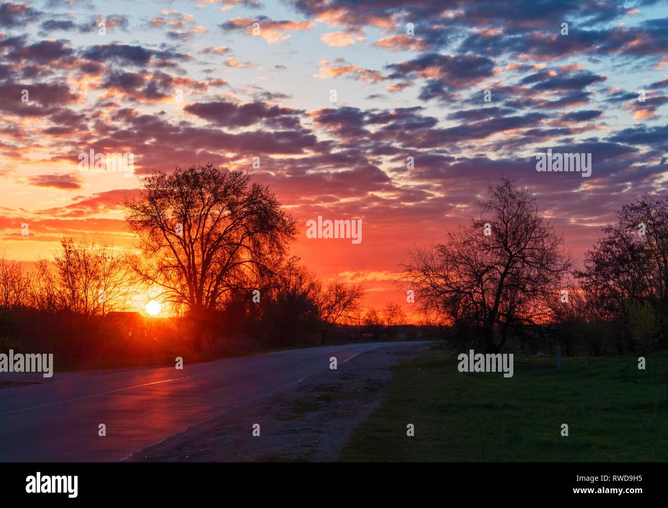 A sunrise sky over the country road. Trees alley on the epic sky background. A Summer season morning bright sunshine. Stock Photo