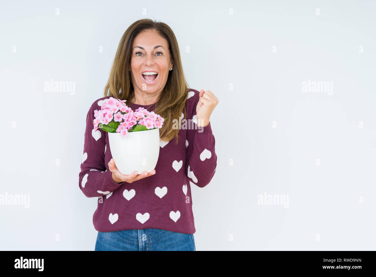 Middle age woman holding flowers pot plant over isolated background screaming proud and celebrating victory and success very excited, cheering emotion Stock Photo