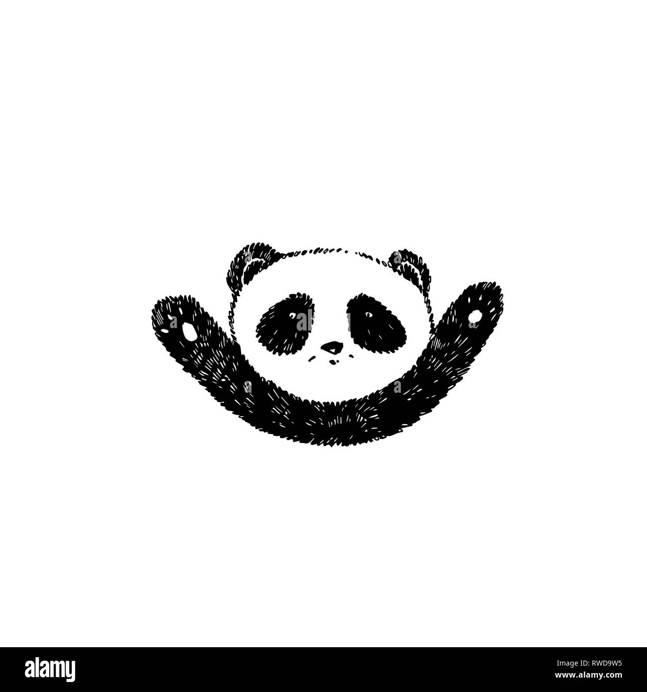 Hand drawn panda. Graphic illustration isolated on white. Panda Logo ...