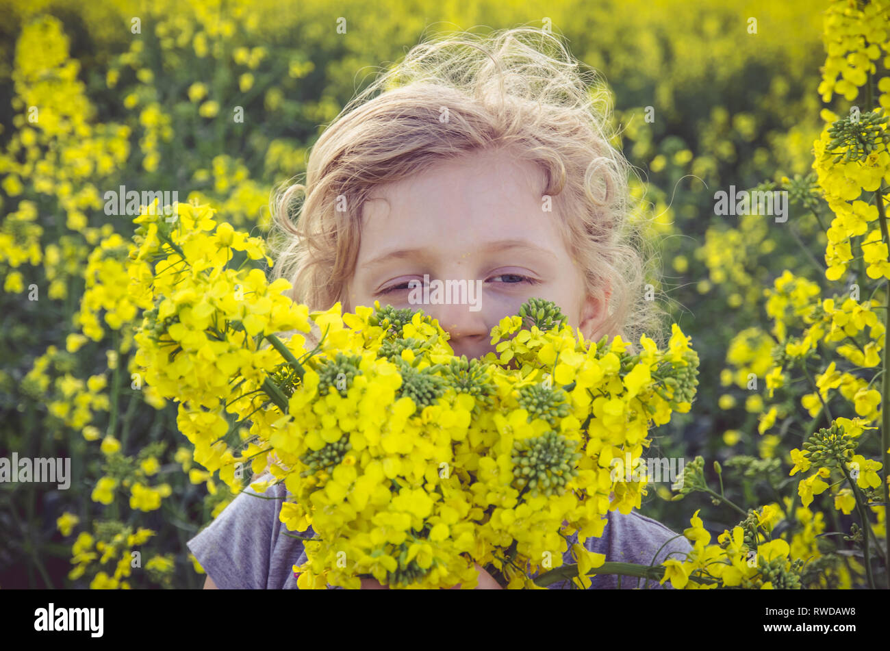 little kid in yellow agricultural rapeseed field Stock Photo - Alamy