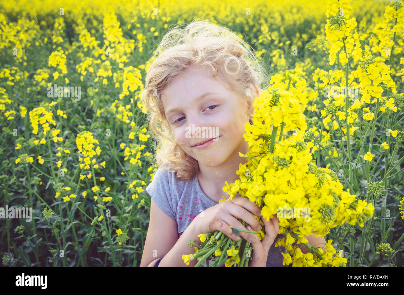 little kid in yellow agricultural rapeseed field Stock Photo - Alamy