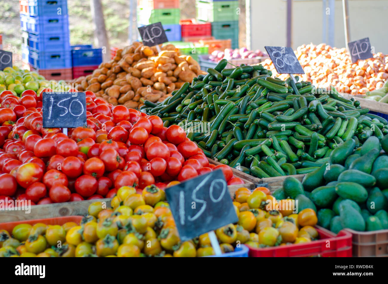 Nicosia, Cyprus 18 October, 2014 Nicosia Municipal Wholesale fruit