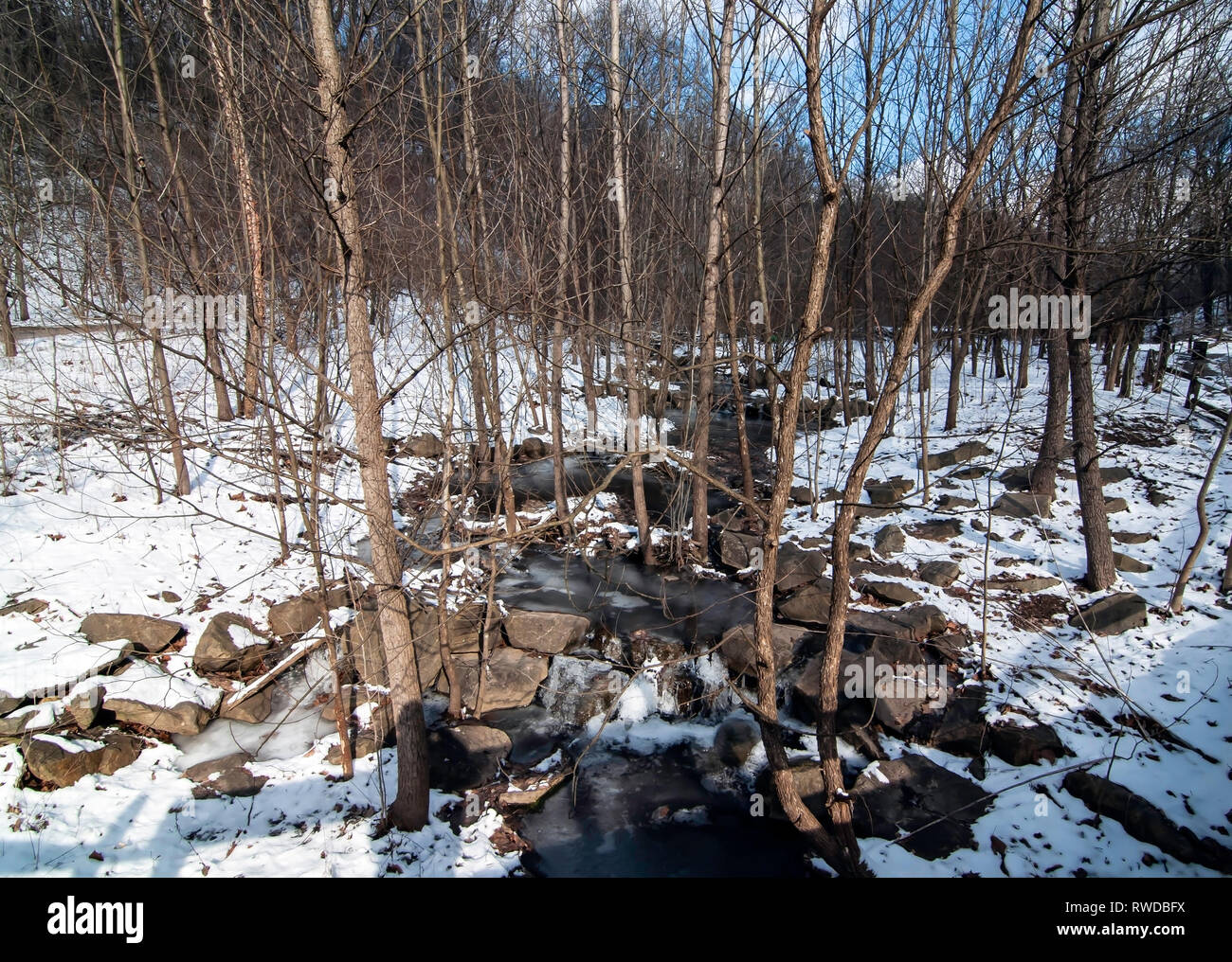 A stream in the woods in Frick Park, Pittsburgh, Pennsylvania, USA in winter Stock Photo