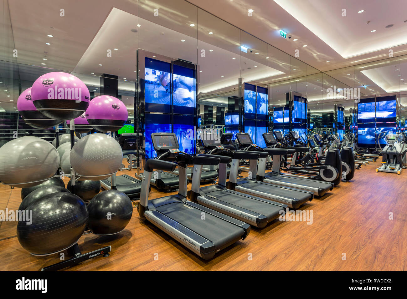 Sukhothai hotel resort fitness and health club interior room filled with  fitness equipment and exercise machine in Bangkok, Thailand Stock Photo -  Alamy
