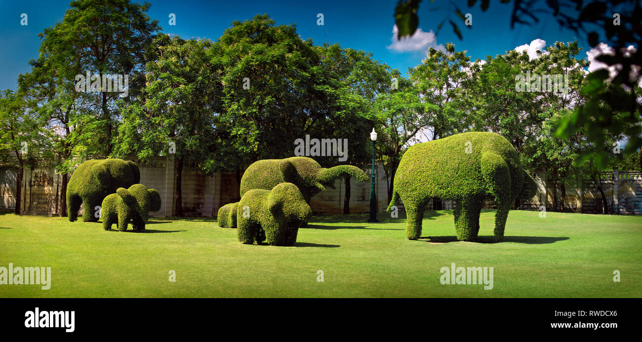 Elephant Topiary In Garden Stock Photo Alamy