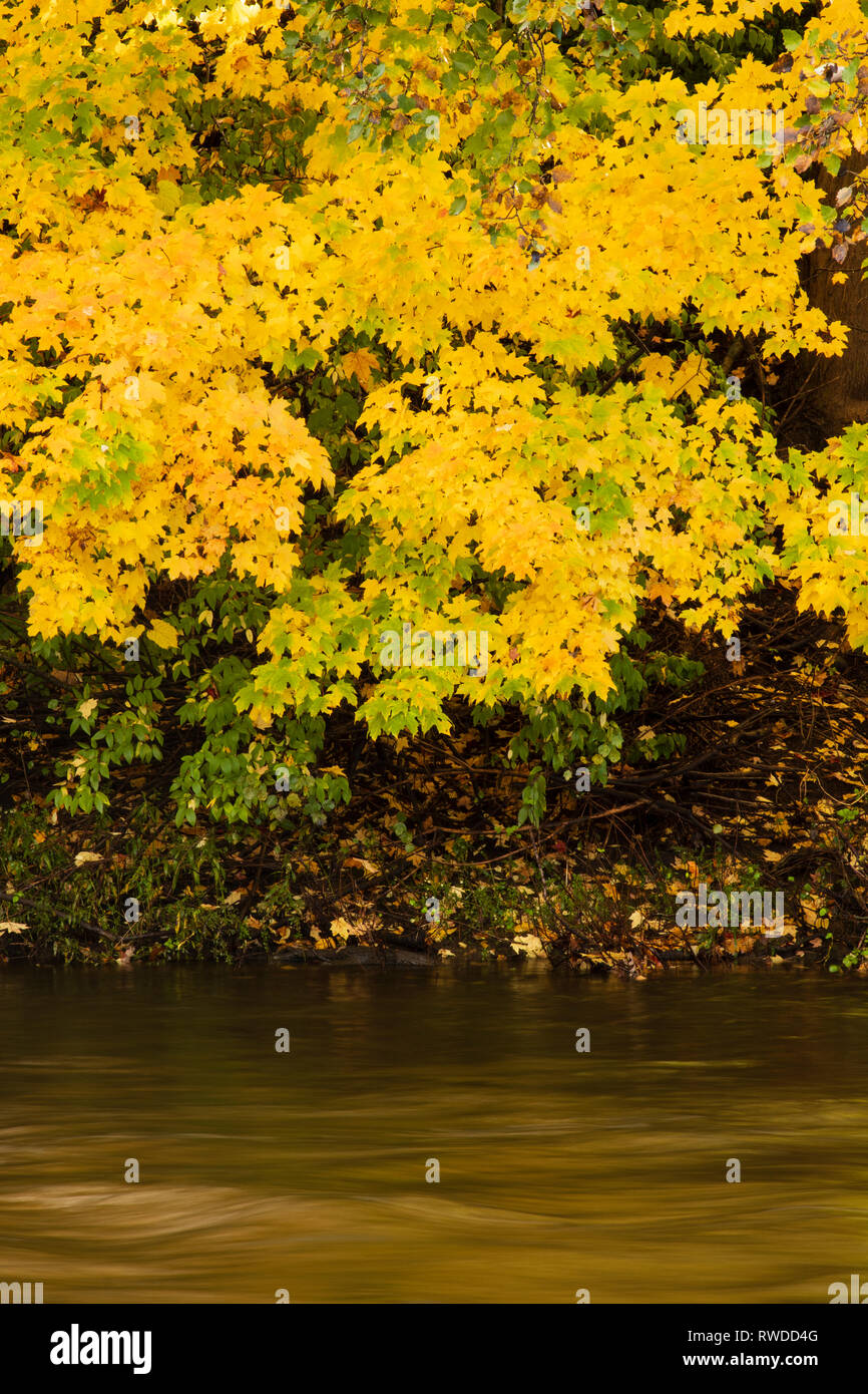 Menomonee river parkway hires stock photography and images Alamy
