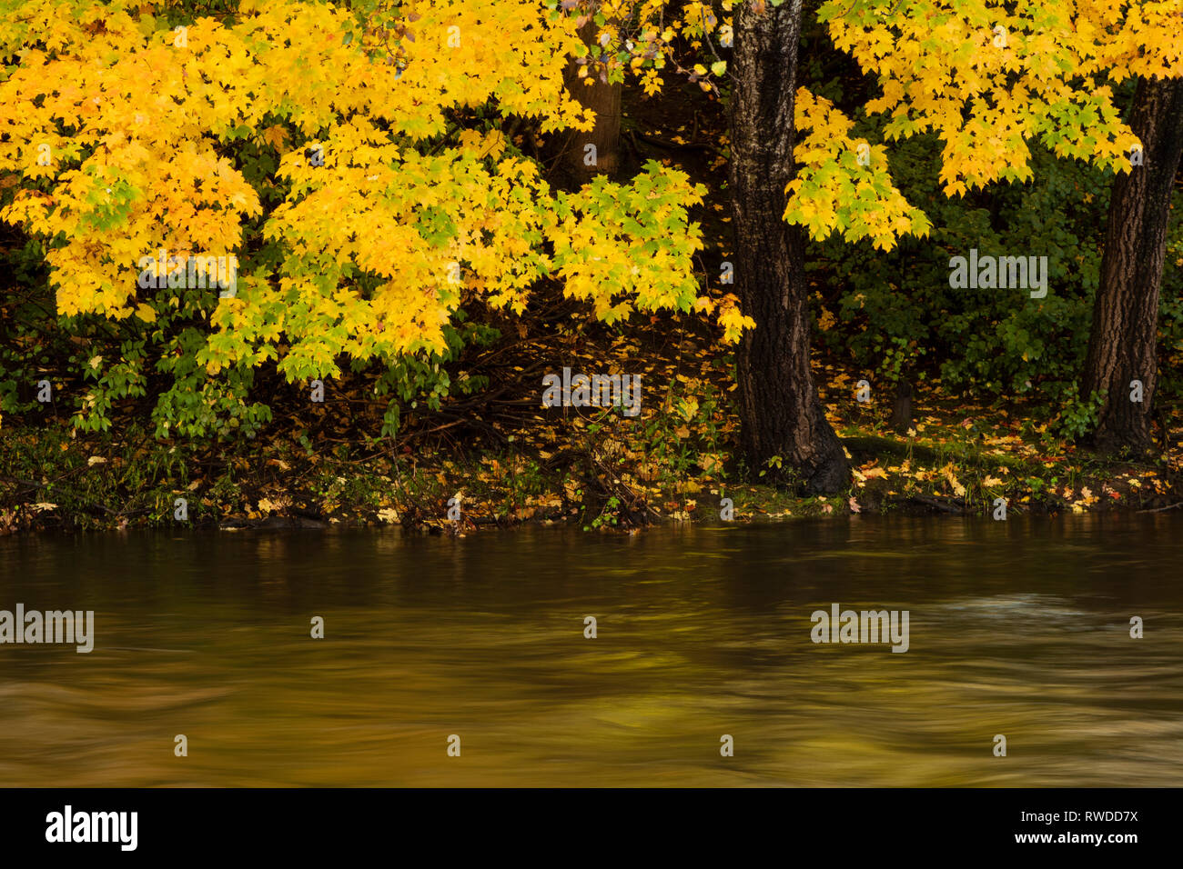 Wauwatosa and wisconsin hires stock photography and images Alamy