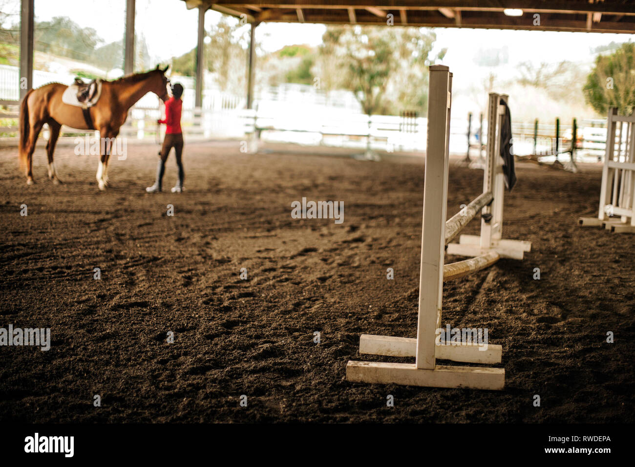Horse handler working in an exercise yard with her horse Stock Photo
