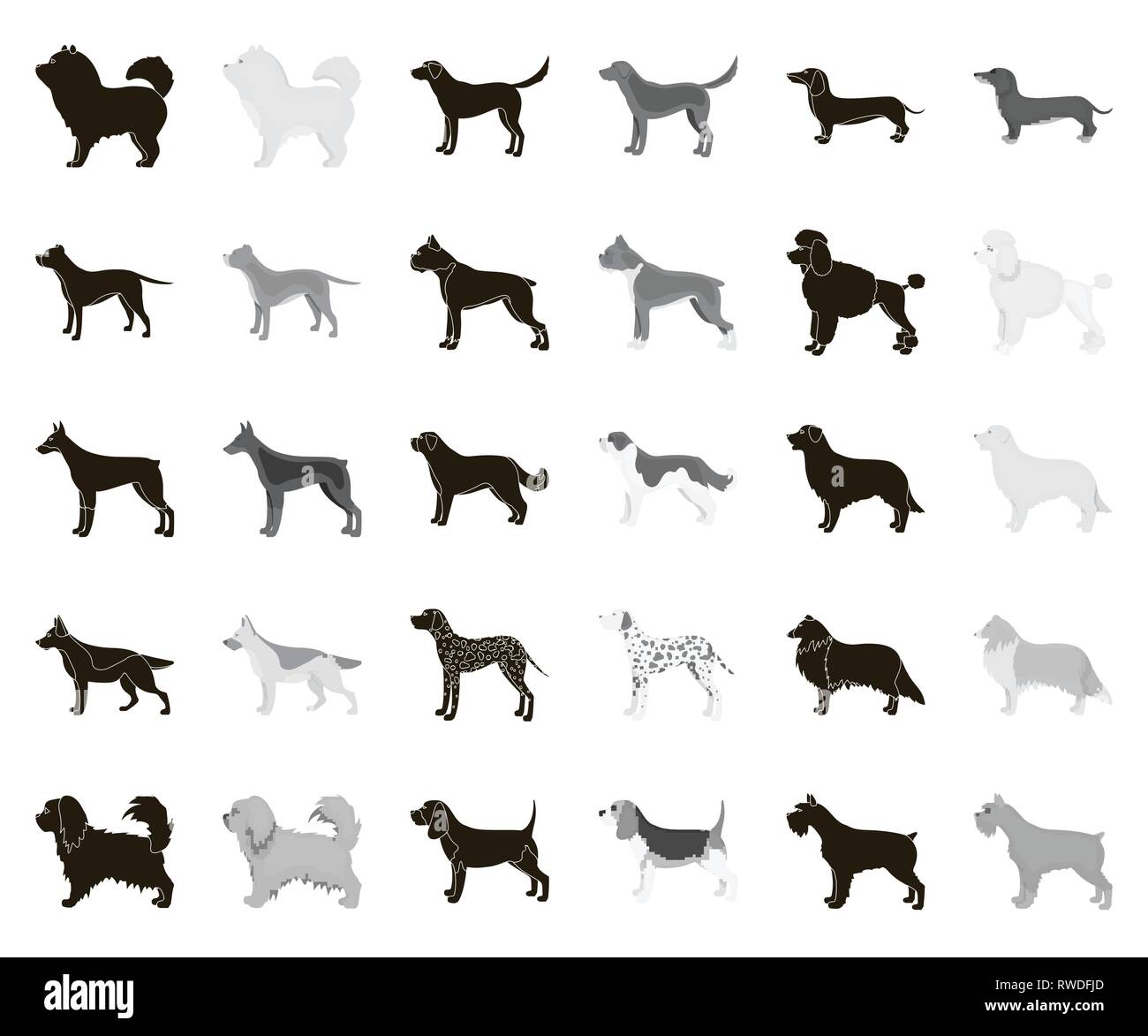 animal,beagle,bernard,black,monochrome,boxer,breed,breeding,breeds,bull,care,carnivorous,chao-chao,collection,collie,concept,dachshund,dalmatian,decorative,design,different,doberman,dog,element,eps,face,gray,hair,icon,illustration,isolated,labrador,logo,mammal,mittelschnauzer,official,paw,pet,pikines,pit,poodle,pug,retriever,set,shepherd,sign,symbol,vector,web,white Vector Vectors , Stock Vector