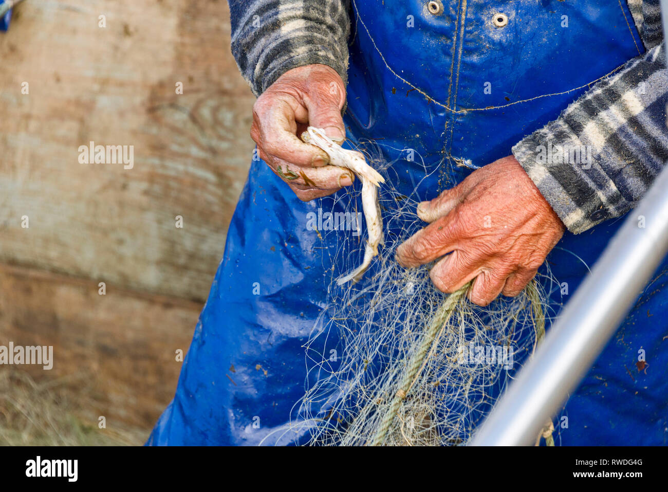 Cleaning of fishing net hires stock photography and images Alamy