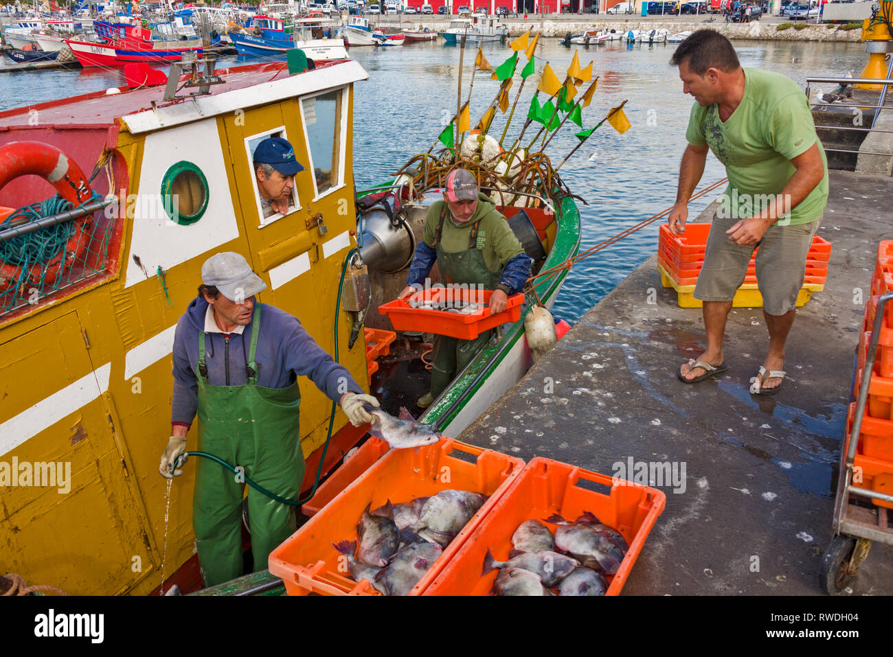 Unloading Fish Unloading fish on wharf hi-res stock photography and images - Alamy