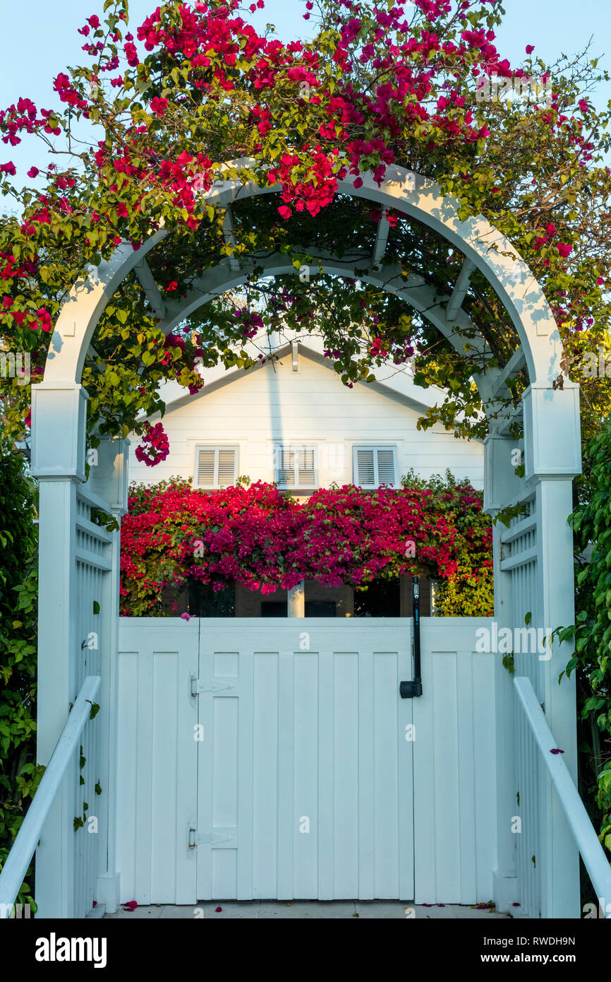 Bougainvillea over archway and awning of cottage home in Naples, Florida, USA Stock Photo