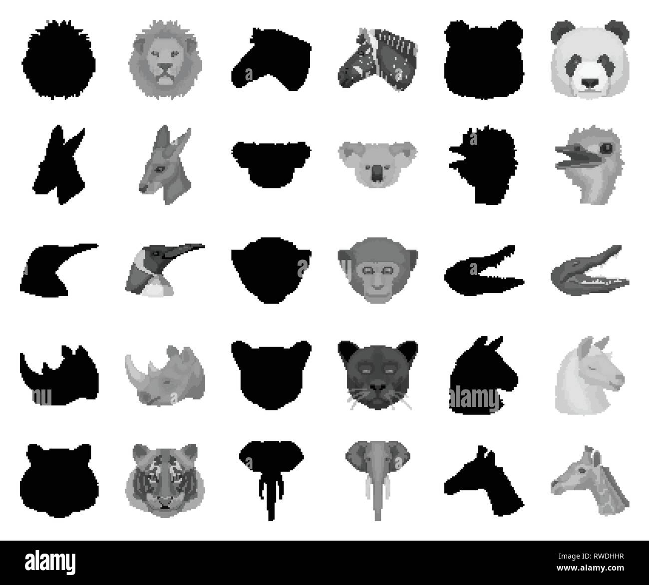 Penguin predator Cut Out Stock Images & Pictures - Alamy