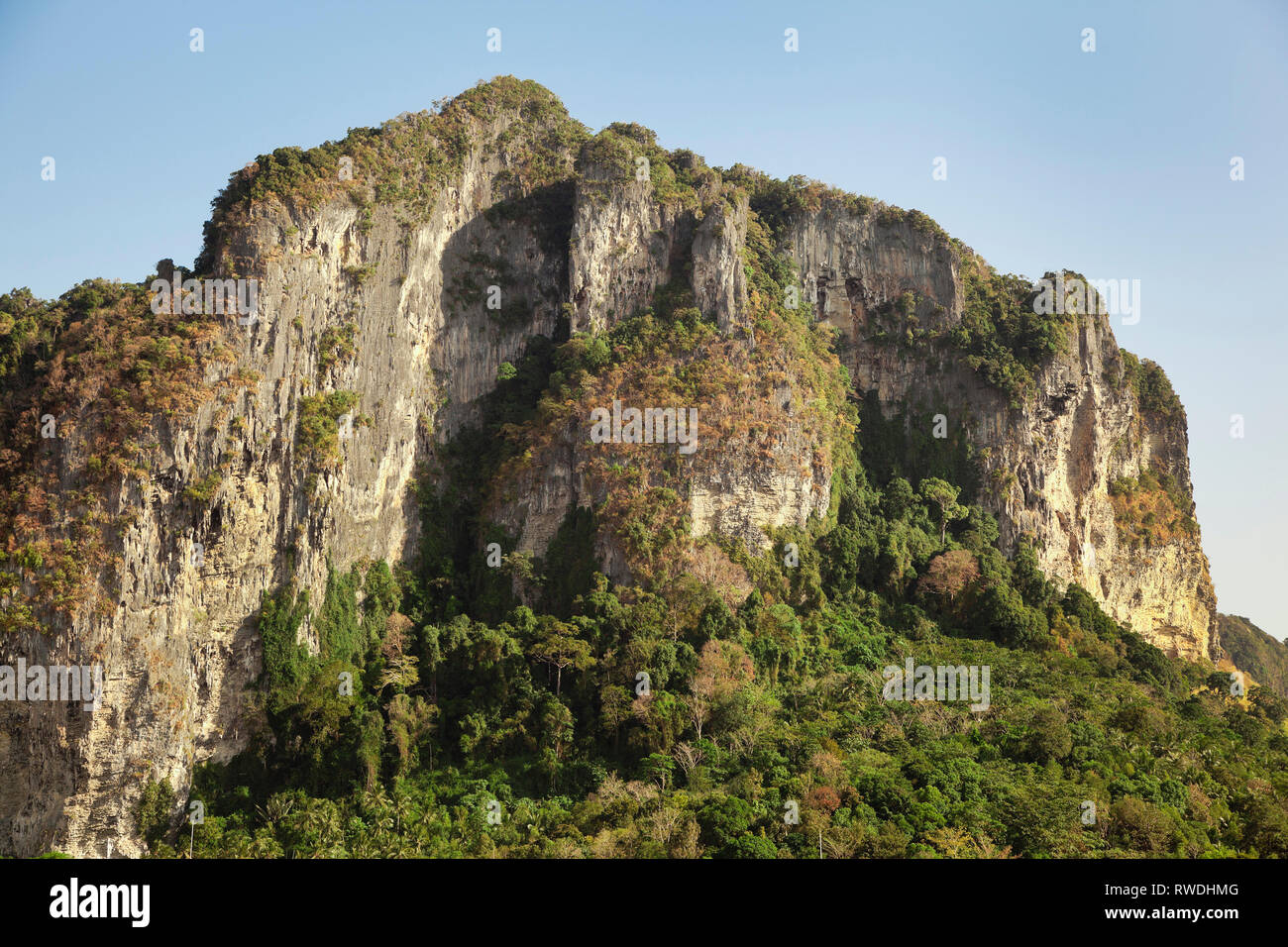 Aonang, Krabi, Thailand, karst hills with forest cover Stock Photo