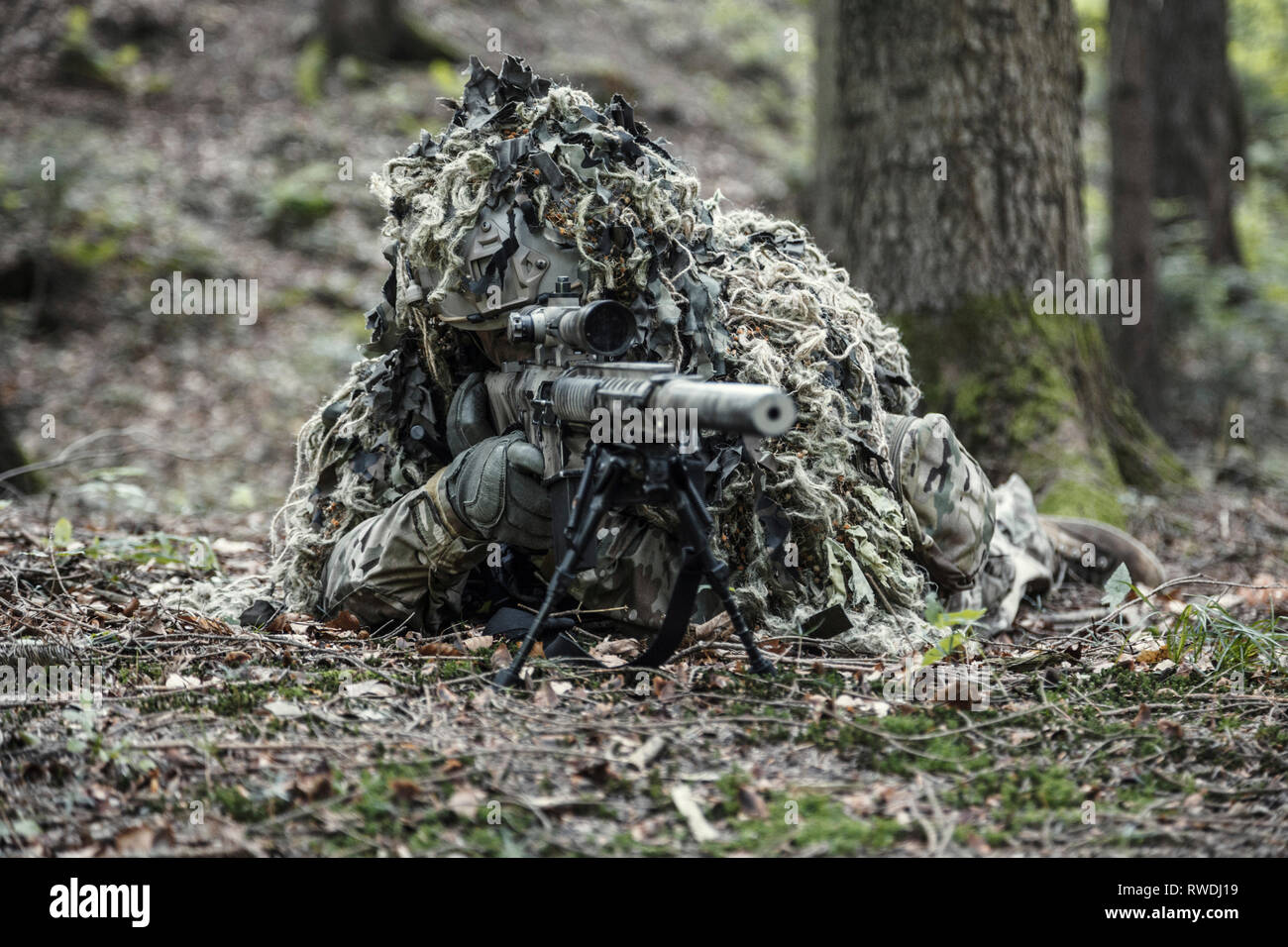 United States Army ranger sniper wearing ghillie suit. Stock Photo