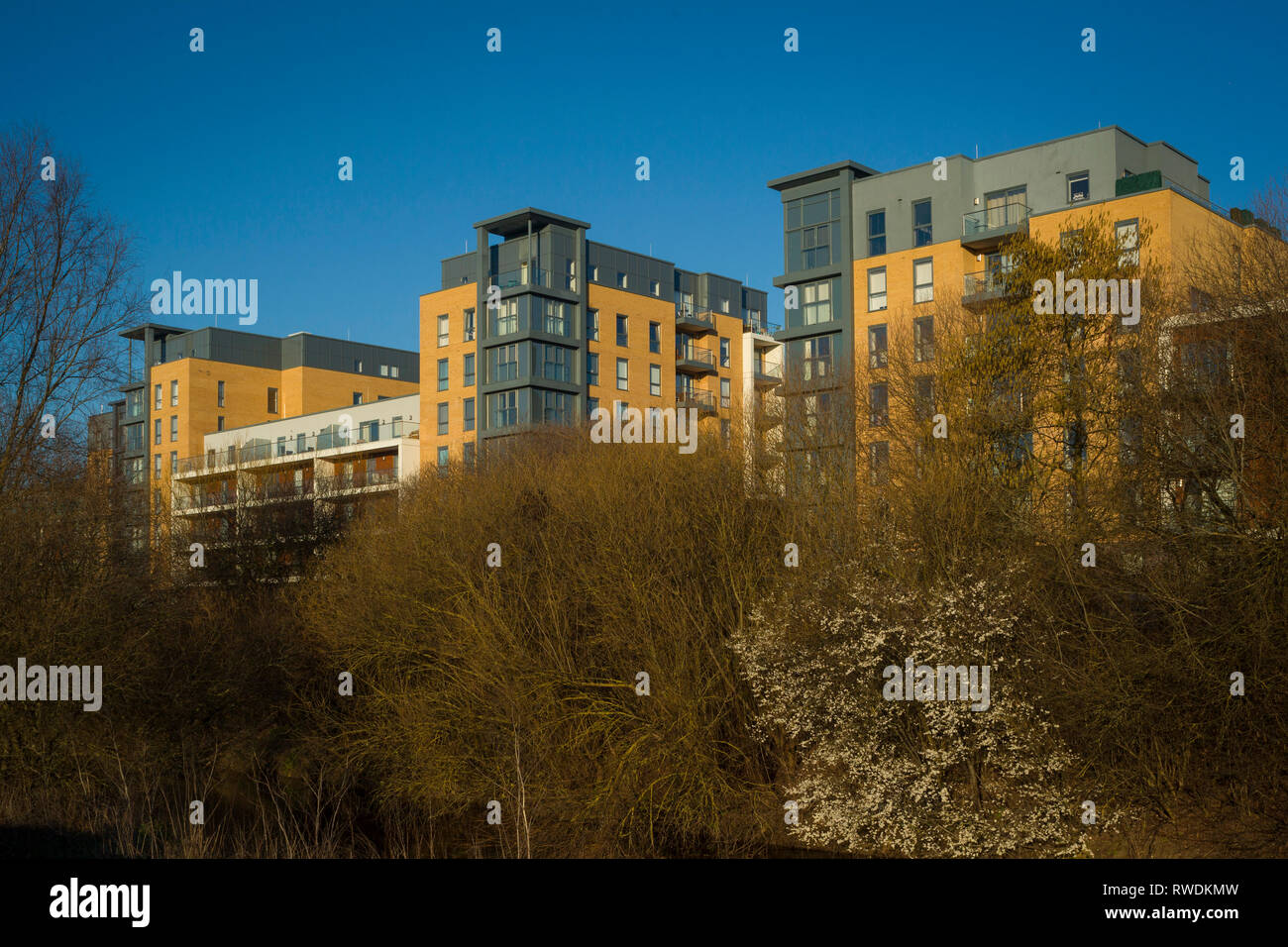 Apartments on Island, Reading, Berkshire Stock Photo Alamy