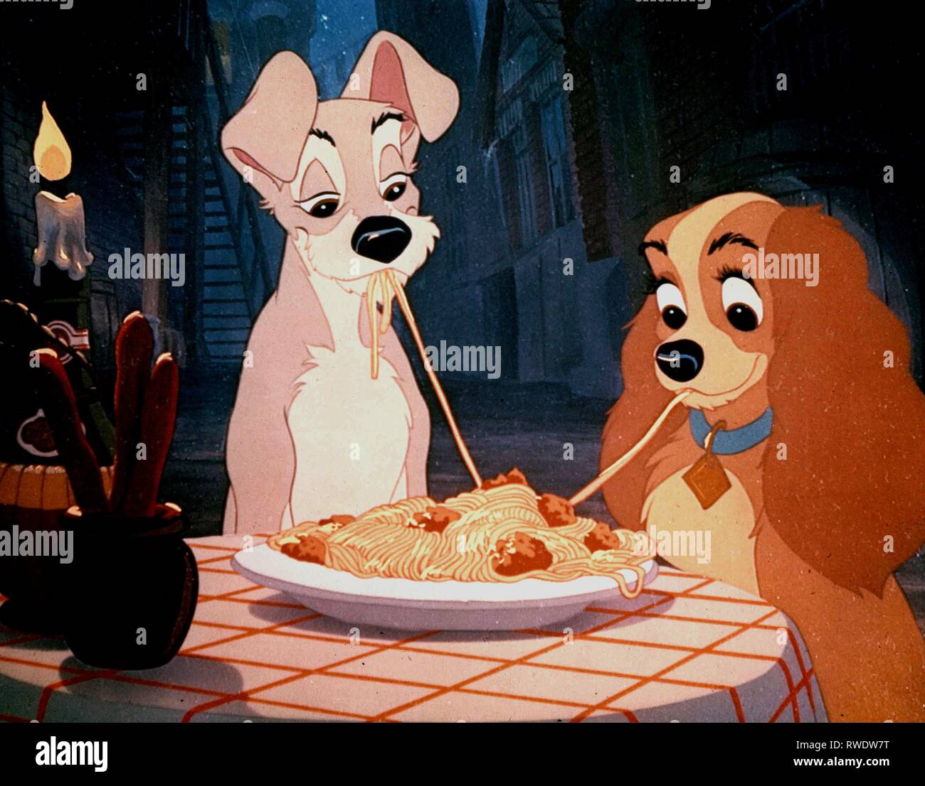TRAMP,LADY, LADY AND THE TRAMP, 1955 Stock Photo - Alamy