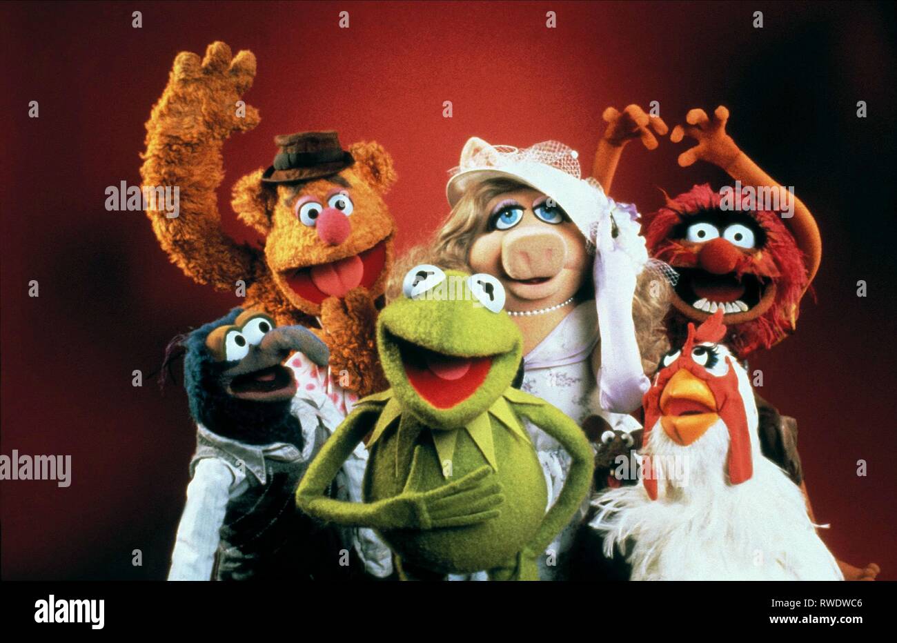 GONZO,BEAR,FROG,PIGGY,ANIMAL, THE MUPPET SHOW, 1976 Stock Photo