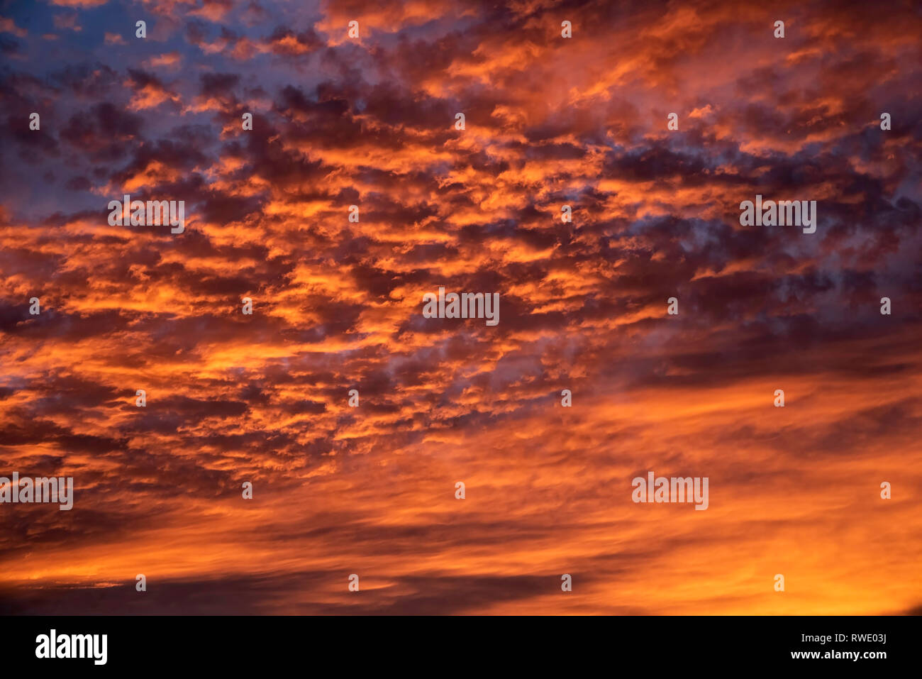 The magnificent deep blue color of the sky and golden yellow and orange