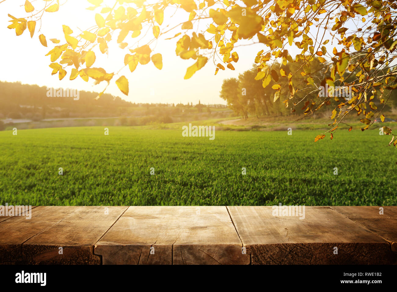 photo of front rustic wooden table and background forest Stock Photo ...