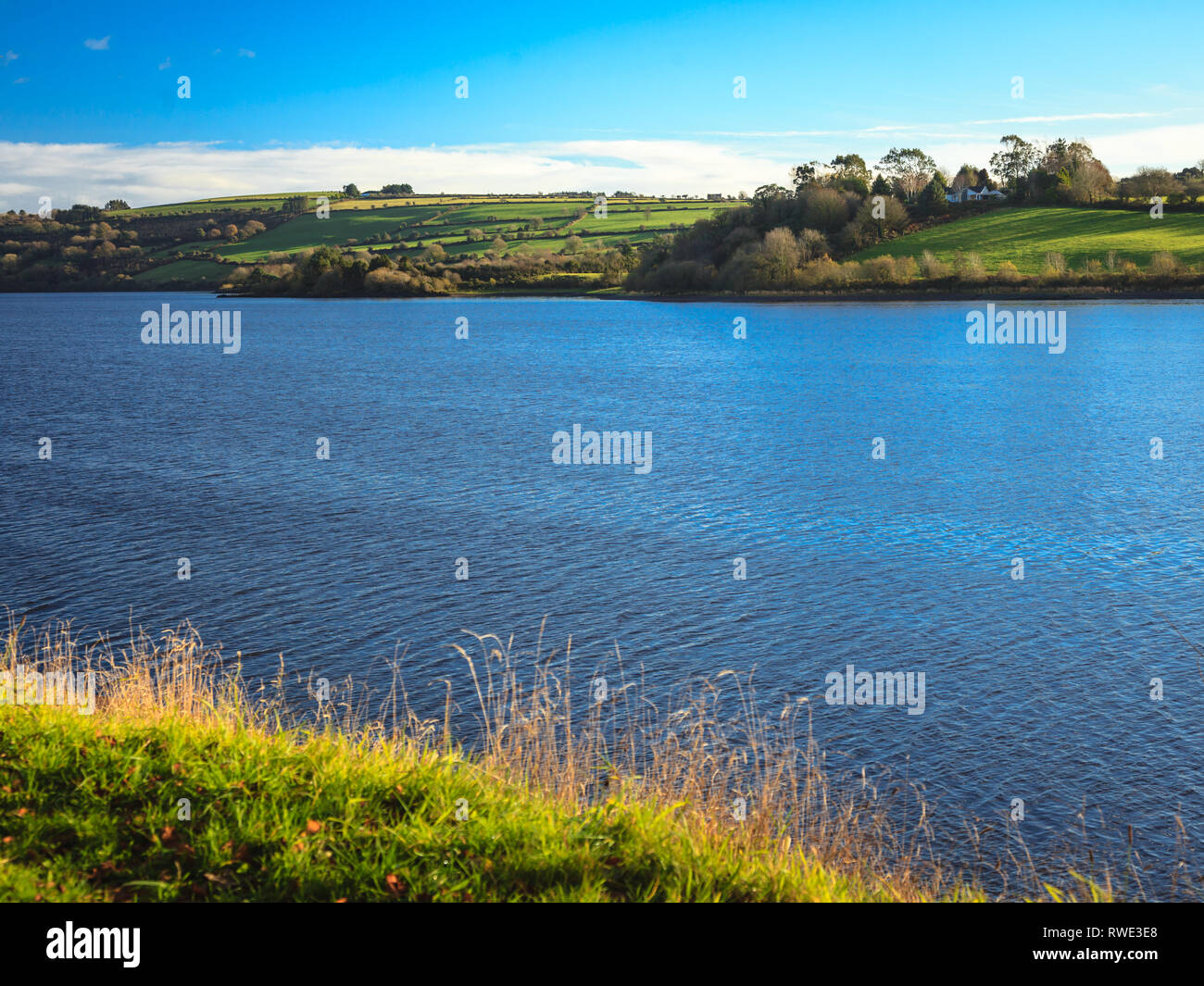 beautiful irish landscape green meadows at calm river Co.Cork, Ireland