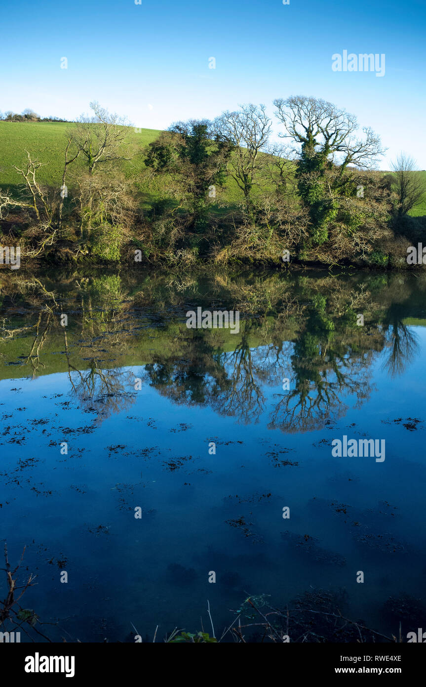 High tide with water reflections in Bowcombe Creek, Kingsbridge, Devon, UK Stock Photo