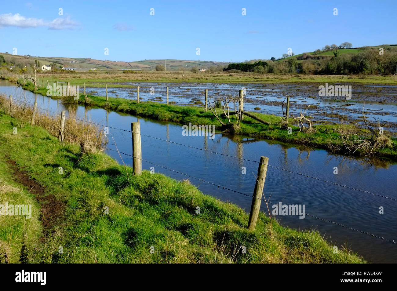 South Efford Marsh, a saltwater flooded marsh nr Aveton Gifford, South Devon, UKgr Stock Photo
