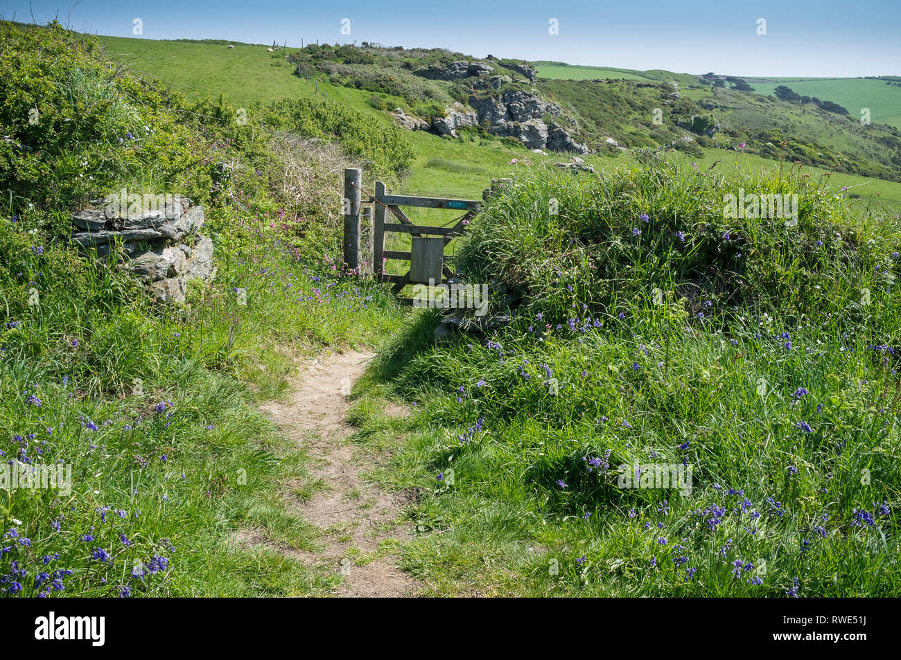 Coastal path in springtime on the spectacular Bolberry Down, South Devon, UK Stock Photo