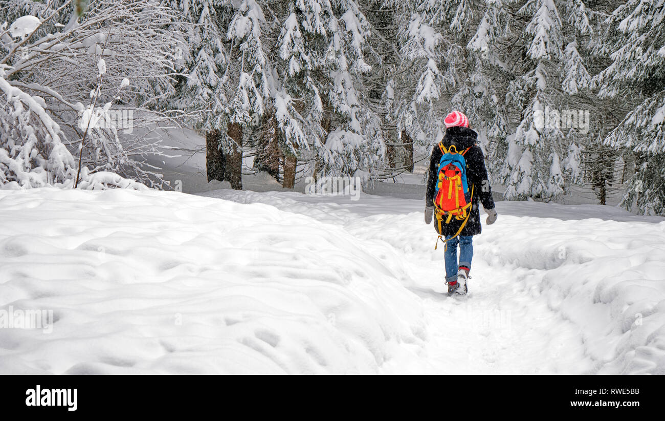 Female in a winter forest hi-res stock photography and images - Alamy