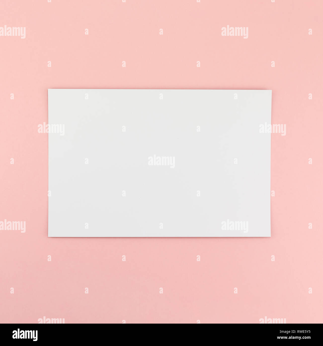 Creative flat lay top view of empty A4 paper page mock up on pastel ...