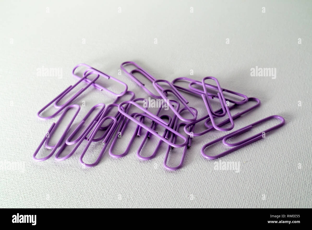 A Studio Photograph of Purple Paperclips Stock Photo